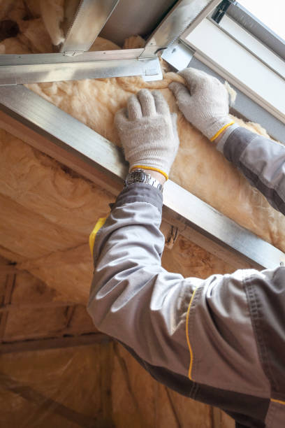 Best Types of Insulation in Bayou La Batre, AL